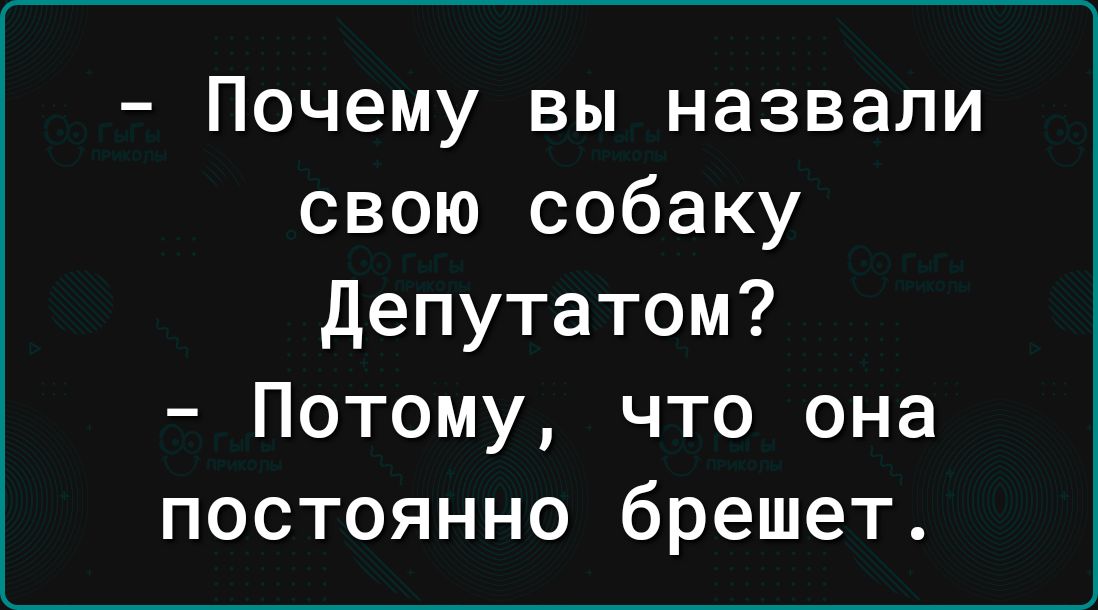 Почему вы назвали свою собаку депутатом Потому что она постоянно брешет