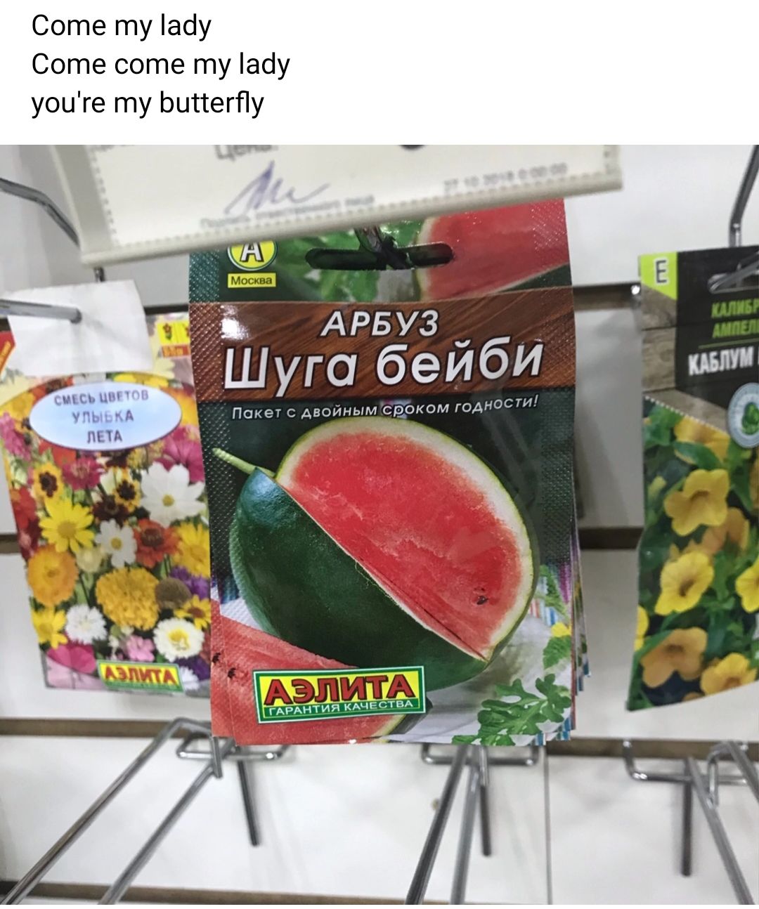 Соте ту айу Соте соте ту іаау уоцге ту ЬцкегПу АРБУЗ Щуга бейб И
