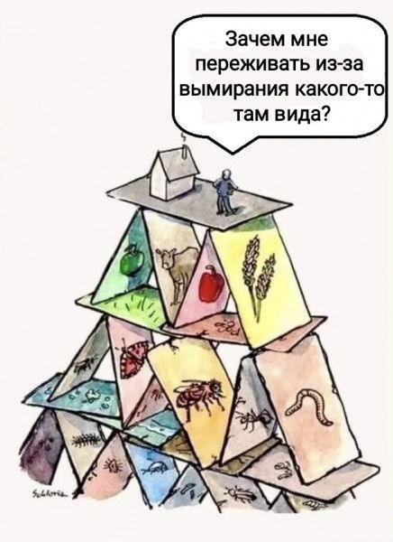 Зачем мне переживать из за вымирания какого там вида