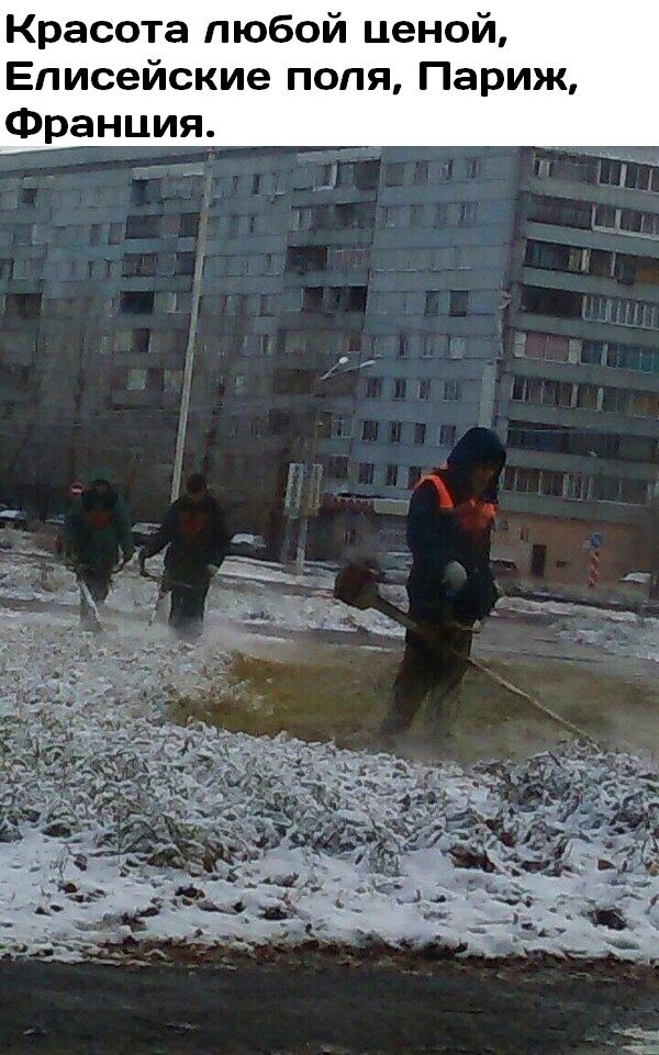 Красота любой ценой Елисейские поля Париж Франция