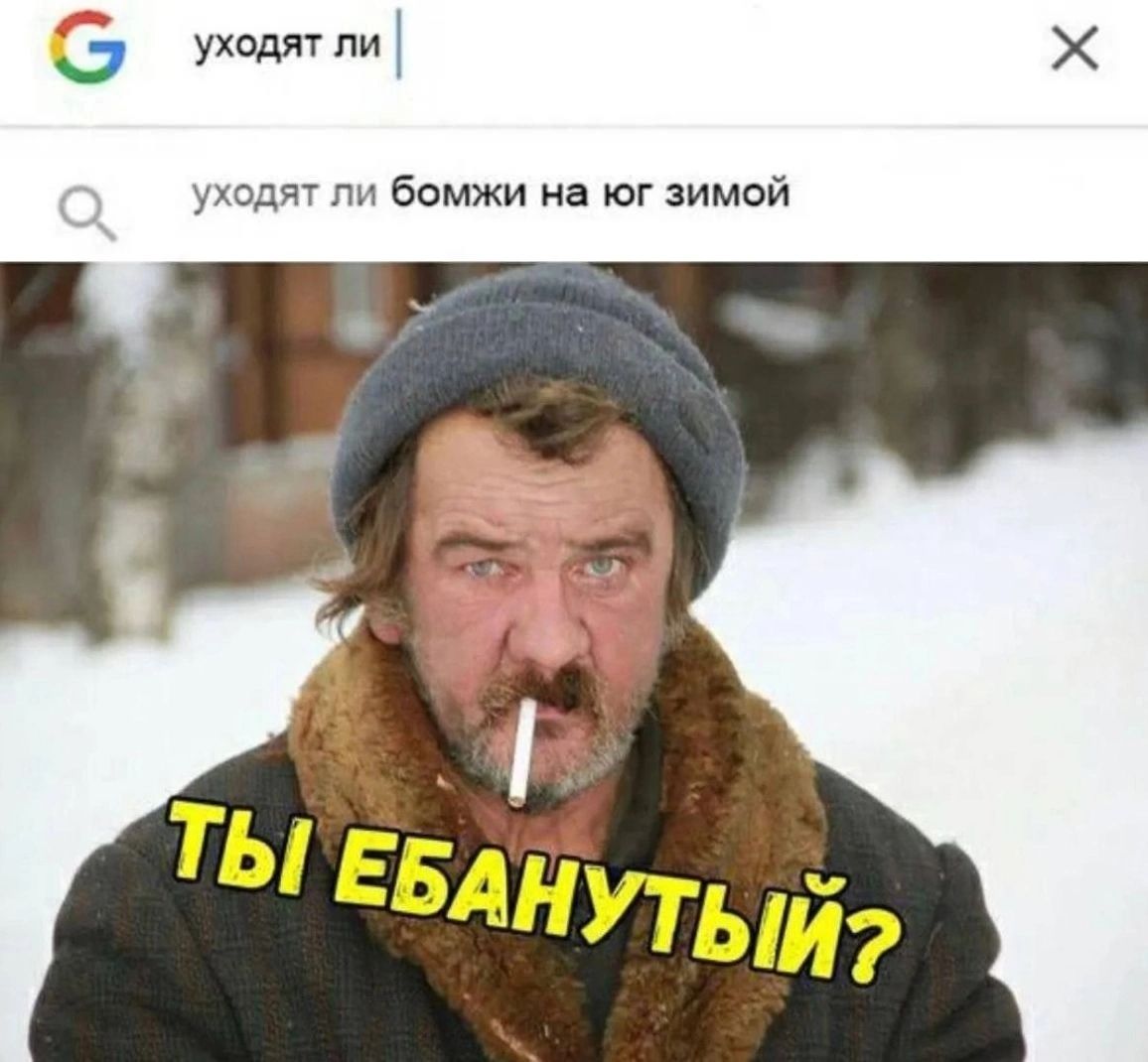с уходят пи ход бомжи на юг зимой