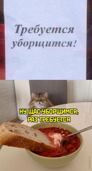 Требуется уоорщится