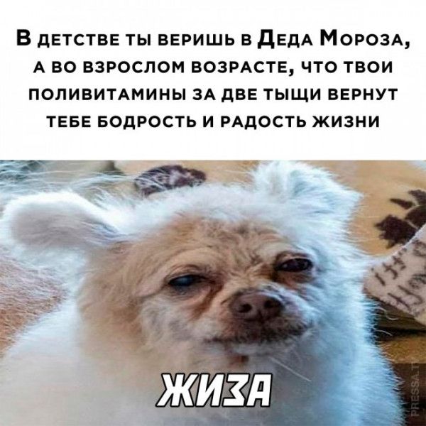 В детстве ты веришь в дЕдА МОРОЗА А во взрослом возмсте что твои поливитАмины зА две тыщи вернут теве БОАРОСТЬ и РАДОСТЬ жизни