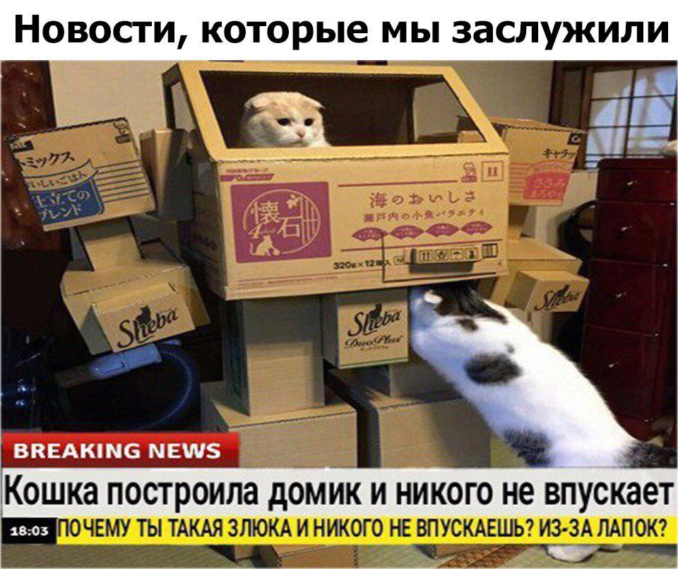 Новосги к рые мы заслужили пышма меш5