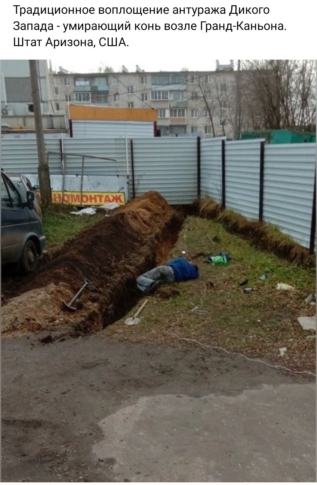 Традиционное воплощение антуража дикого Запада _ умирающий онь возле ГрандгКаньона Штат Аризона США