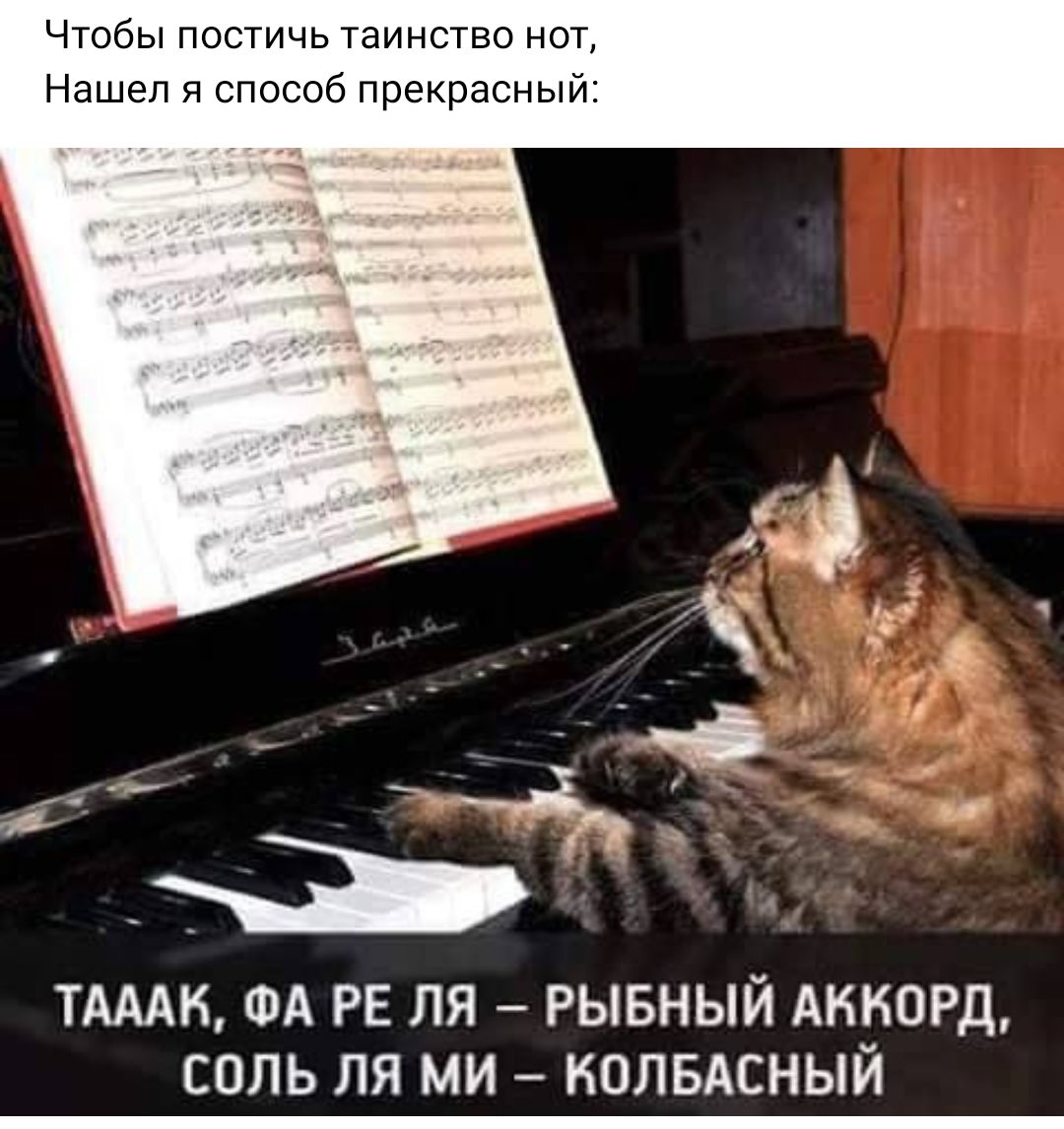 Чтобы постичь таинство нот Нашел и способ прекрасный ТАМ ФА РЕ ЛЯ РЫБНЫЙ АККОРД СОЛЬ ПЯ МИ НОЛБАСНЫЙ