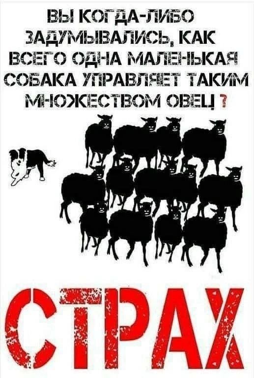 ВЫ КОЁдА ПИГЗО ЗАДУМЫВАПИСЬ КАК ВСЕГО ЭДЁ ід МАЛЕі ЕЬКАЯ СОБАКА УПРАВЙЯЕТ ТАКИМ Мі Ю7КЕСТВОМ ОВЕН