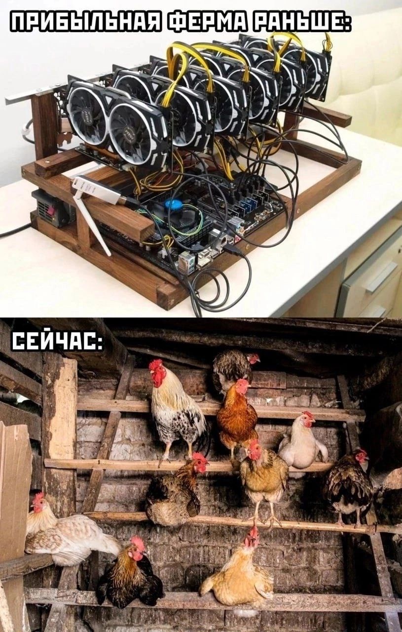 ПРИБЫЛЬНАЯФЕРМАРАНЬШЕ