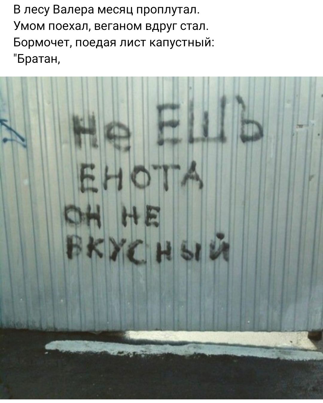 Стену дура