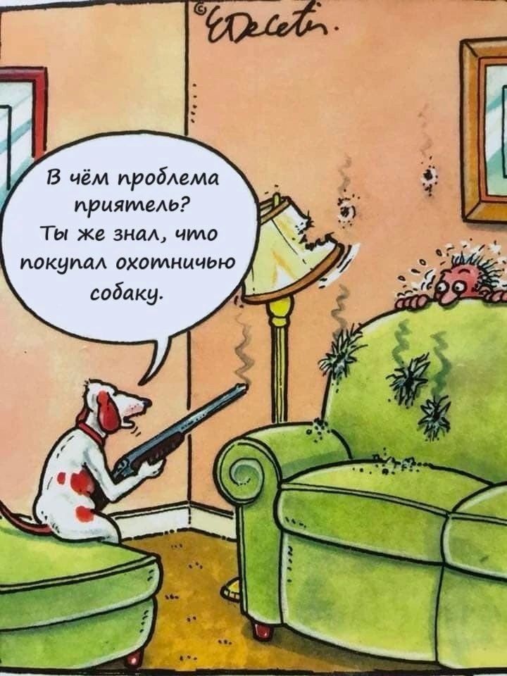 В чём пробшта приятель Ты же знал что ИПКЦИЛА ПХПМНИЧЬЮ