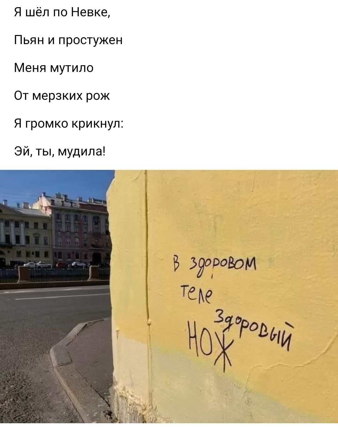Я шёл по Невке Пьян и простужен Меня мутило От мерзких рож я громко крикнуп зи ты мудила