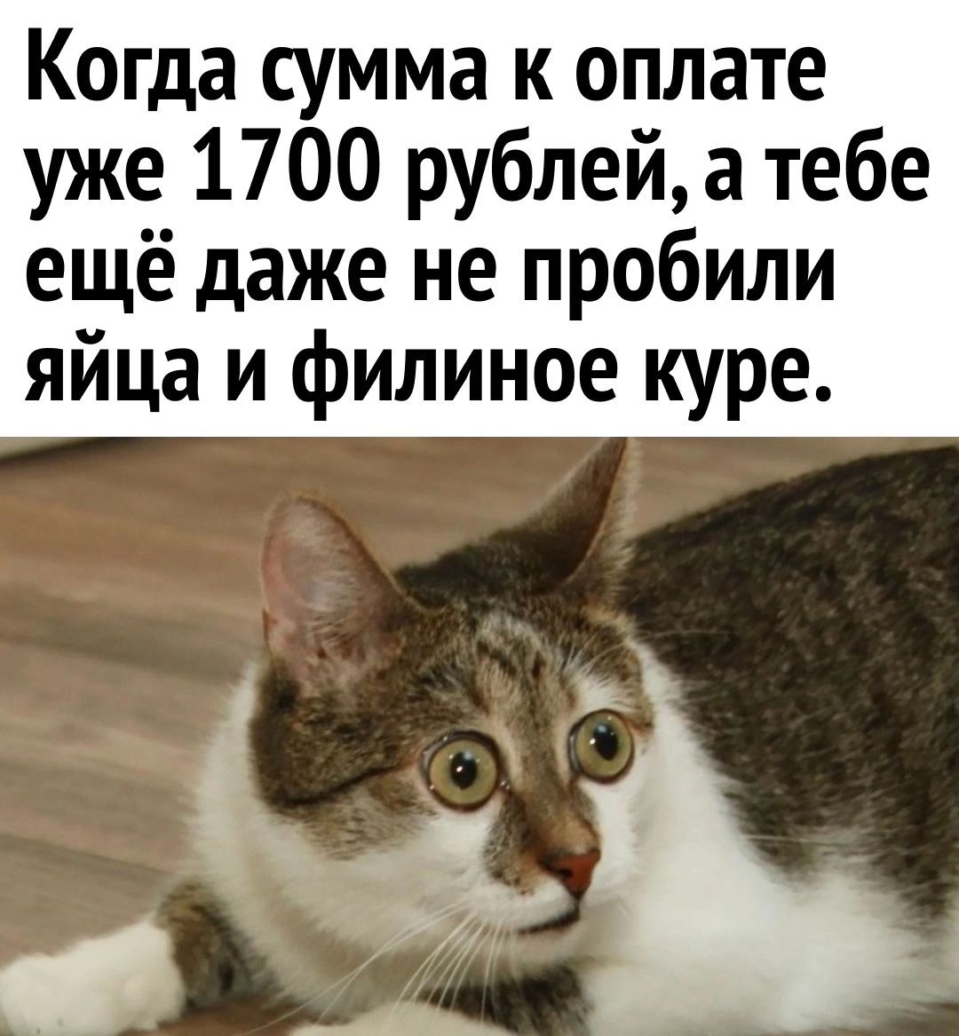 Когда сумма к оплате уже 1700 рублейа тебе ещё даже не пробили яйца и филиное куре