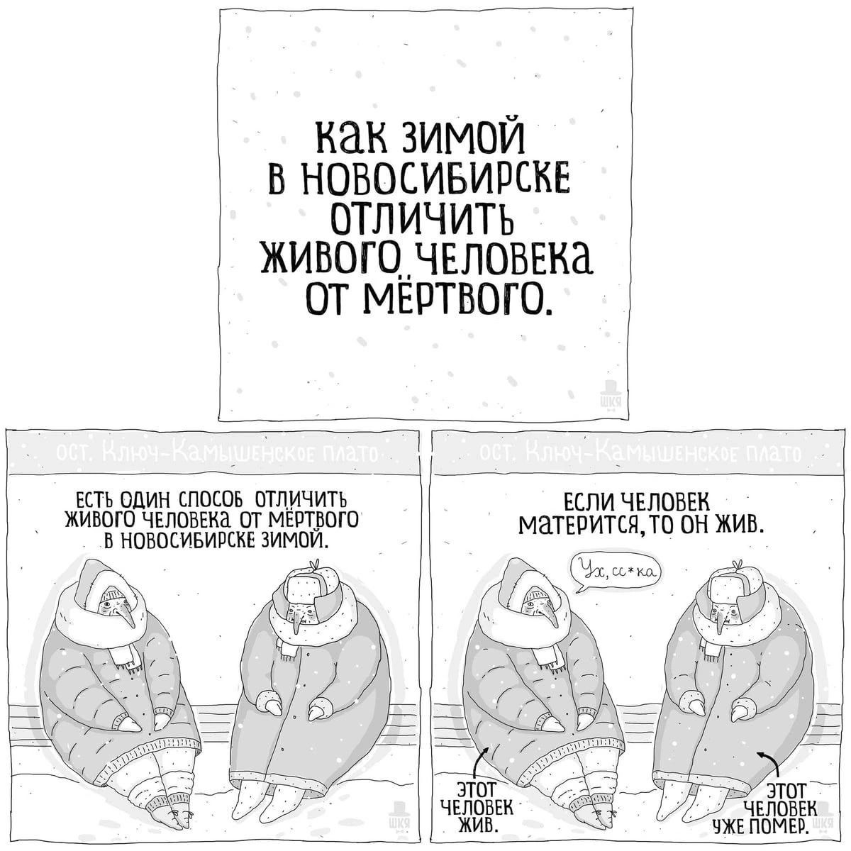 Гй 77771 как зимои в новосивирске отличить живощчвповека от мертвого іі шъвпикшгті щ чип хиьпючшшм тм ш пиовпсиьищьзимп ив