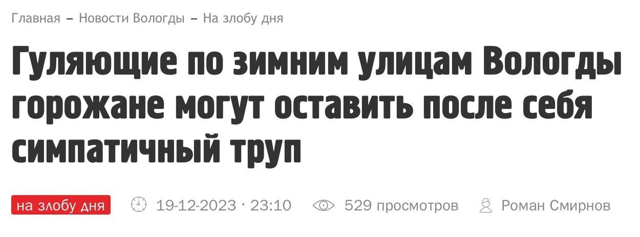 Гуляющие по зимним улицам Вологды горожане могут оставить после себя симпатичный труп