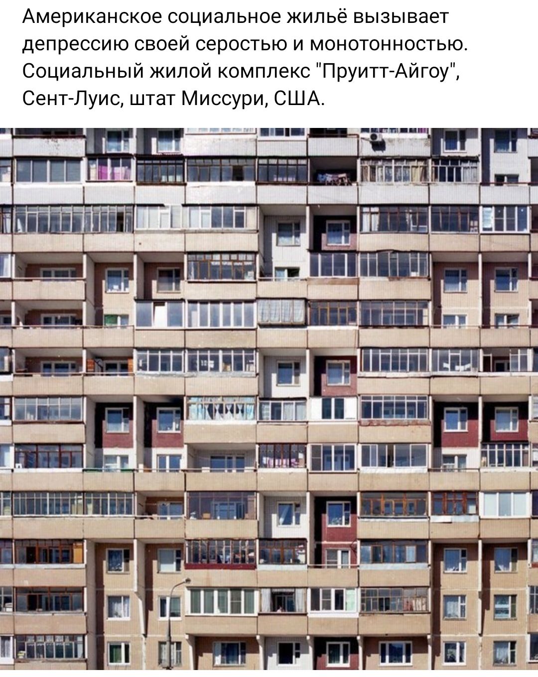 Американское социальное жильё вызывает депрессию своеи серостыо и монотонностыо Социальный жилой комплекс ПруиггАйгсу СенгЛуис штат Миссури США
