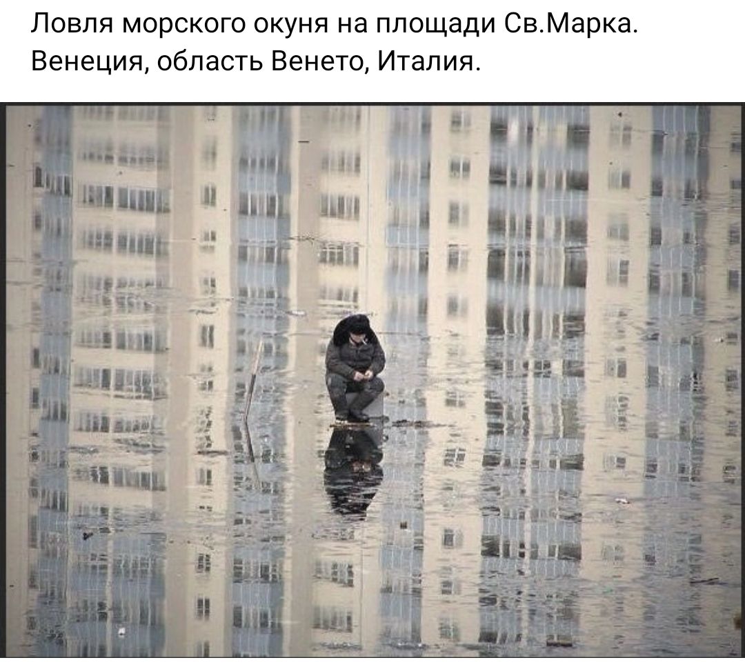 Ловля морского окуня на площади Св Марк