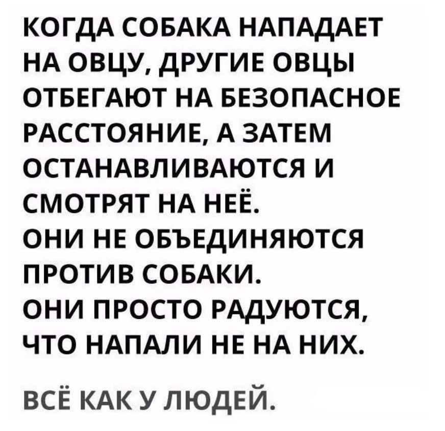 когдА СОБАКА НАПАДАЕТ НА овцу другие овцы ОТБЕГАЮТ НА БЕЗОПАСНОЕ РАССТОЯНИЕ А ЗАТЕМ ОСТАНАВЛИВАЮТСЯ и смотрят НА НЕЁ они НЕ овъвдиняются против СОБАКИ они просто РАдУЮТСЯ что НАПАЛИ НЕ НА них всё КАК у ЛЮДЕЙ