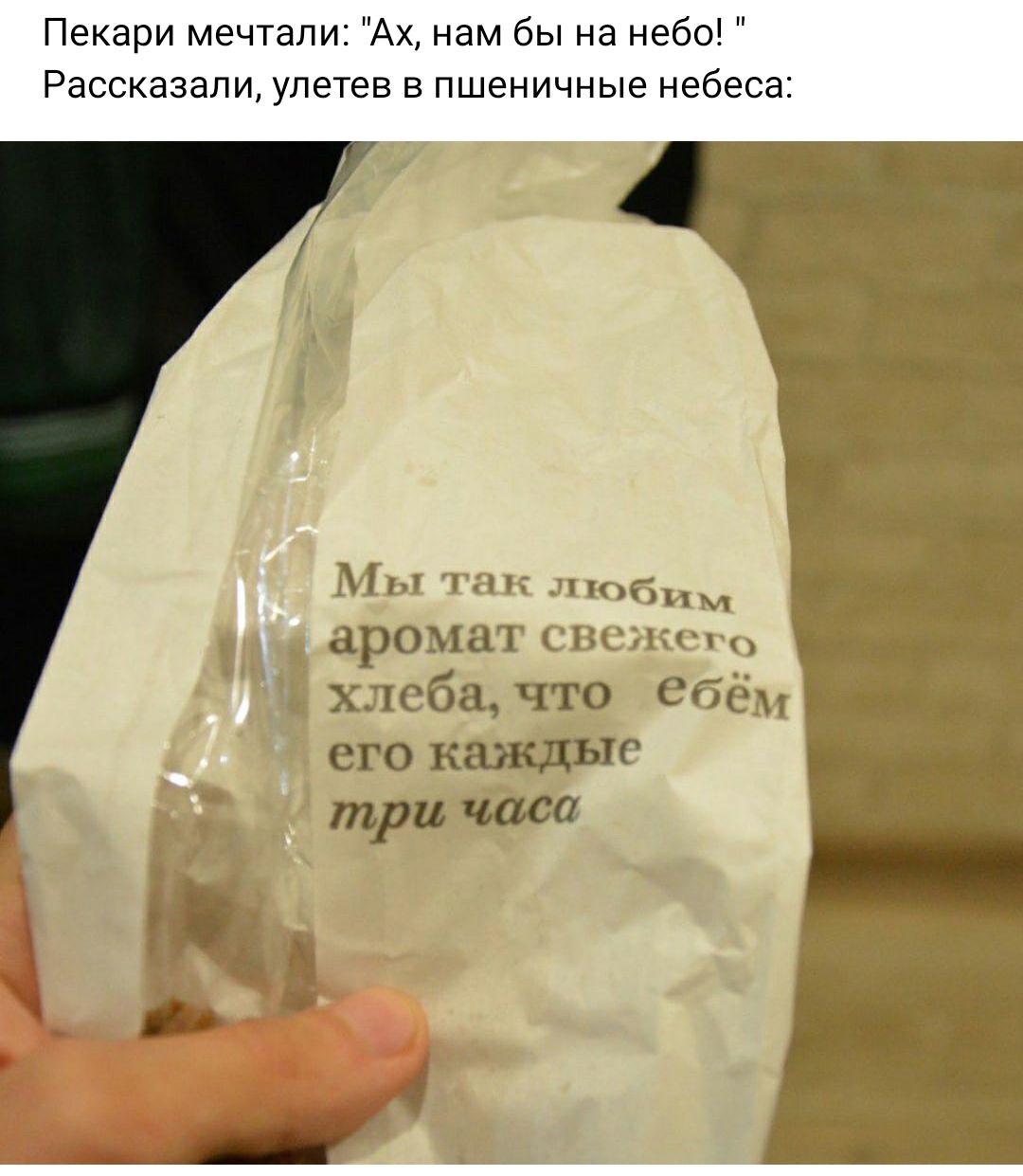 Пекари мечтали Ах нам бы на небо Рассказали упетев в пшеничные небеса ч и ны М три чип