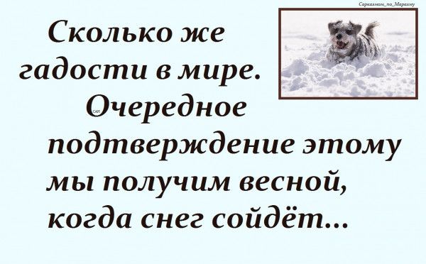 Сколько же гадости в мире Очередное подтверждение этому мы получим весной когда снег сойдёт