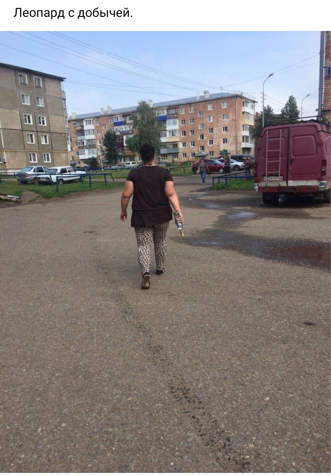 Леопард с добычей