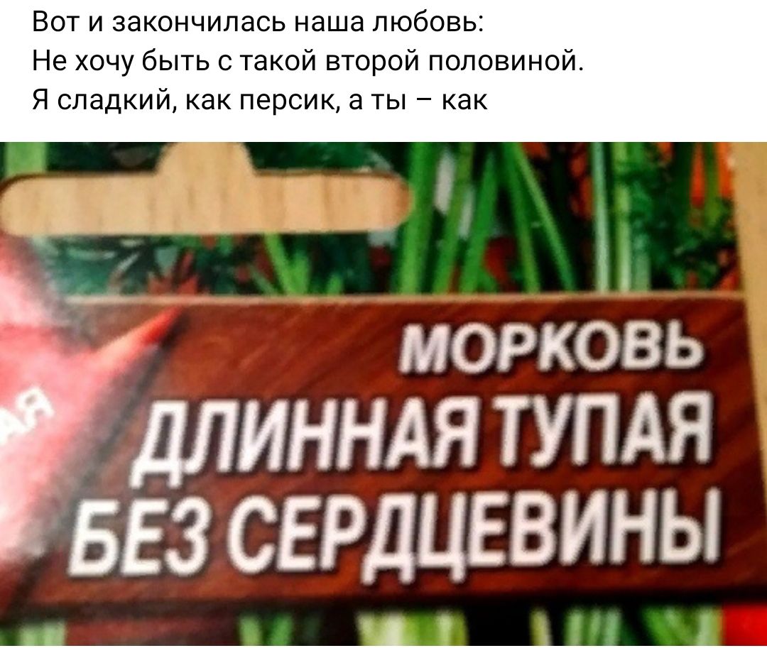 _ А МОРКОВЬ ДЛИННАЯ ТУПАЯ БЕЗ СЕРДЦЕВИНЫ