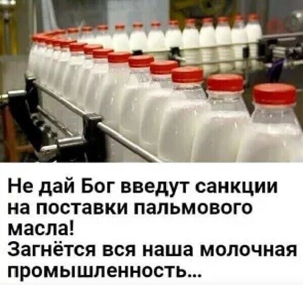 Не дай Бог введут санкции на поставки пальмового масла Загнётся вся наша молочная промышленность