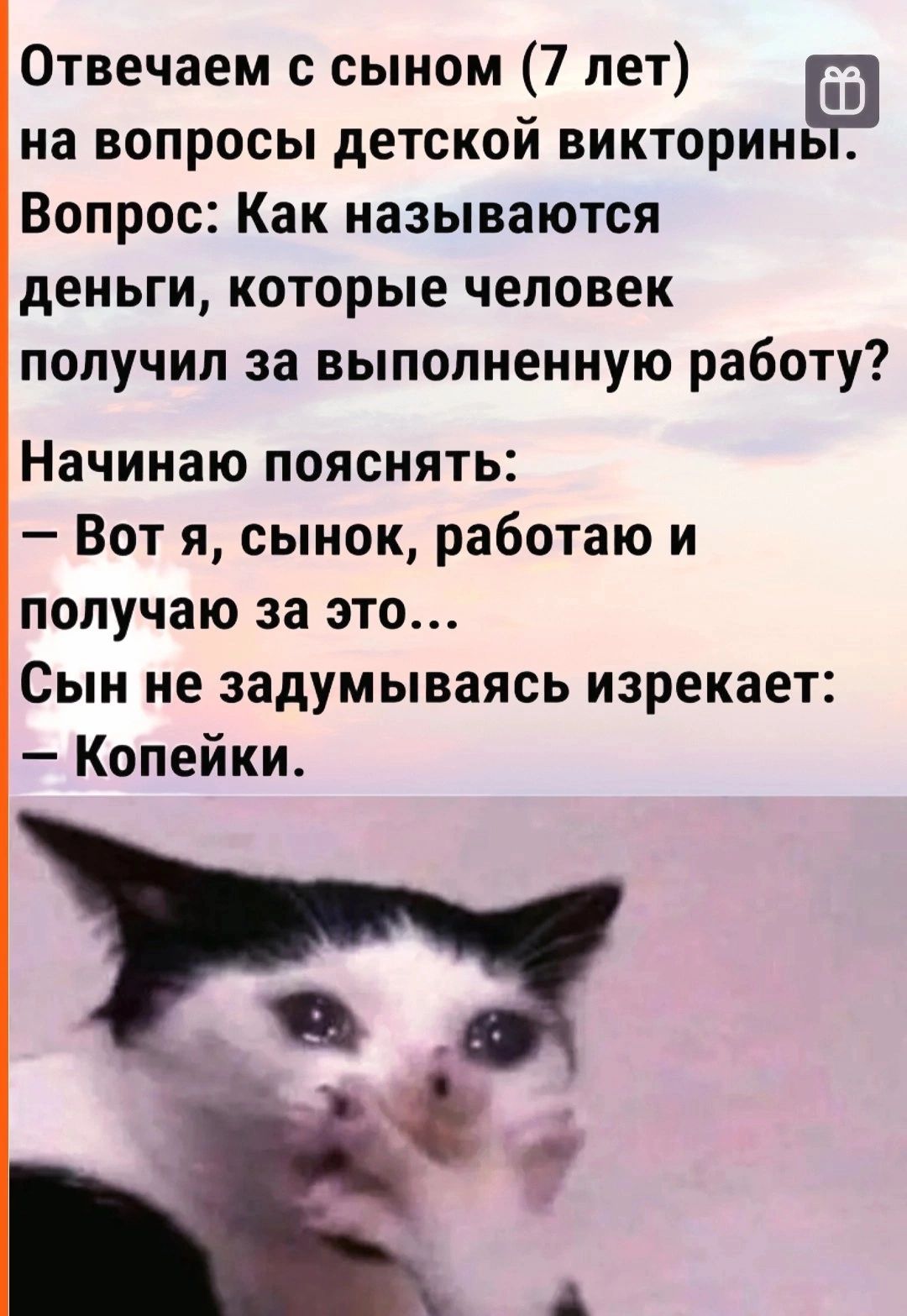 Отвечаем с сыном 7 лет на вопросы детской викторин Вопрос Как называются деньги которые человек получил за выполненную работу Начинаю пояснять Вот я сынок работаю и получаю за это Сын не задумываясь изрекает Копейки