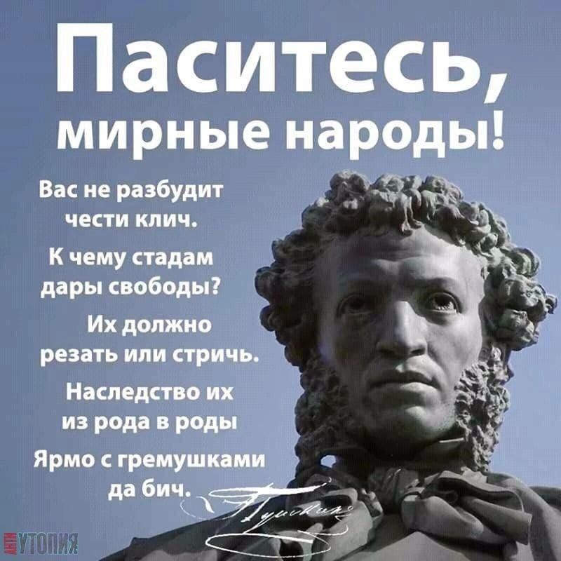 Паситесь мирные народы Вас не разбудит ЧЕСТИ клич К чему стад м дары свободы Их должно резни ипи прич Наталии их 3 ярма пишущими дц бич __