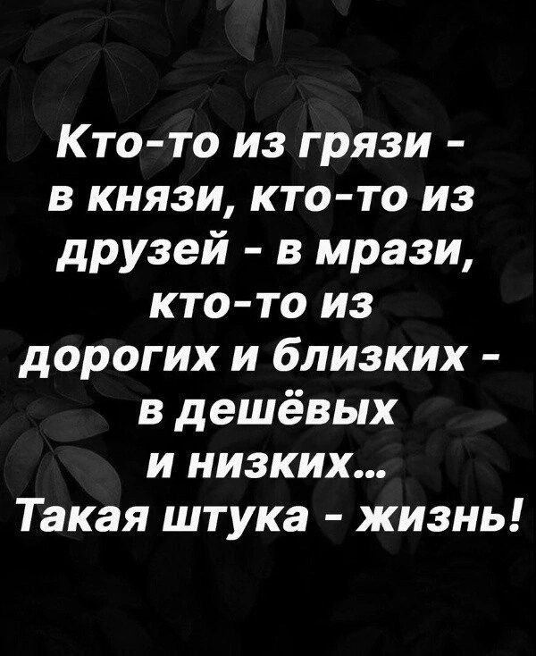 К то то из грязи в князи кто то из друзей в мрази кто то из дорогих и близких в дешёвых и низких Такая штука жизнь