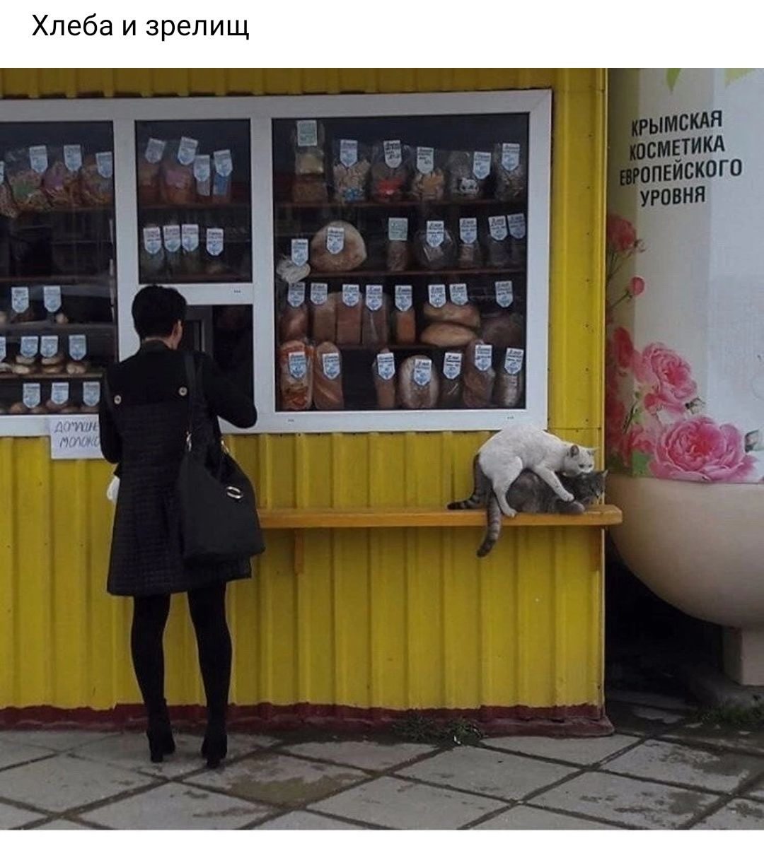 і за 3 свій пив и лиц