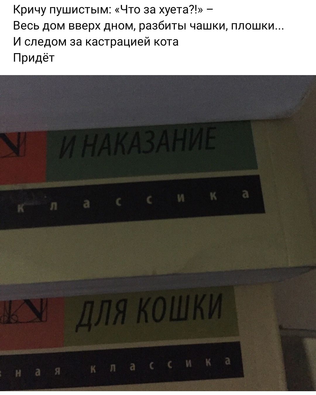 Кричу пушистым Что за хуетащ Весь дом вверх дном разбиты чашки ппошки и следом за кастрацией кота Придет