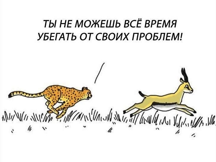 ТЫ НЕ МОЖЕШЬ ВСЁ ВРЕМЯ УБЕГАТЬ ОТ СВОИХ ПРОБЛЕМ 1 5 И1ыіди _ _ М іх Мп МАМ ш