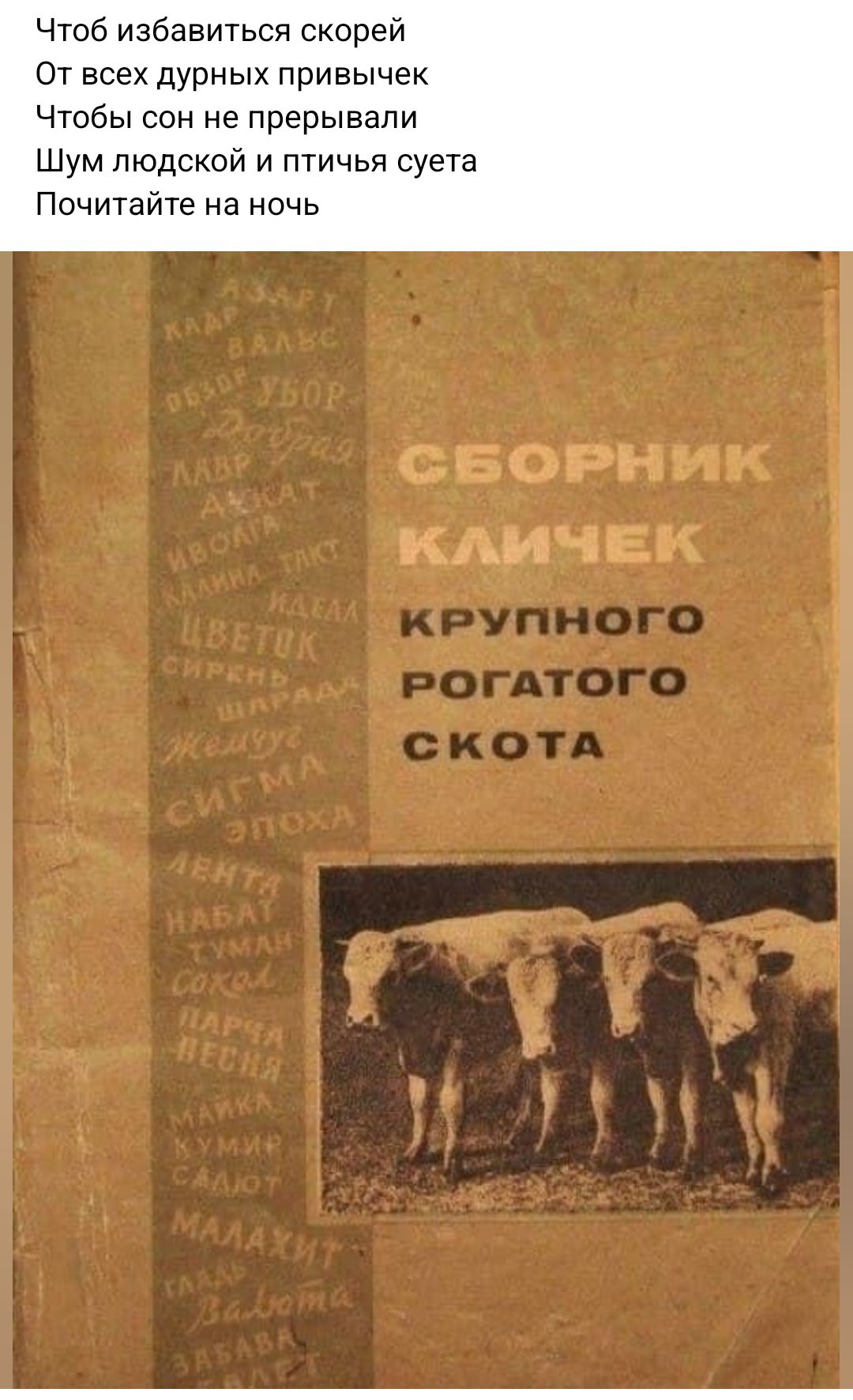 Чтоб избавиться скорей От всех дурных привычек Чтобы сон не прерывали Шум людской птичья суета Почитайте на ночь Сверник кличек