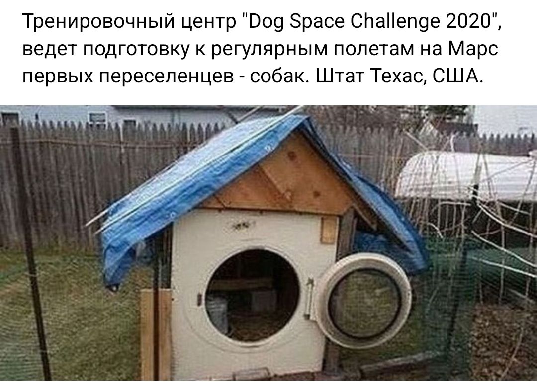 Тренировочный центр 009 Эрасе онемепое 2020 ведет подготовку регулярным полетам на Марс первых переселенцев собак Штат Техас США