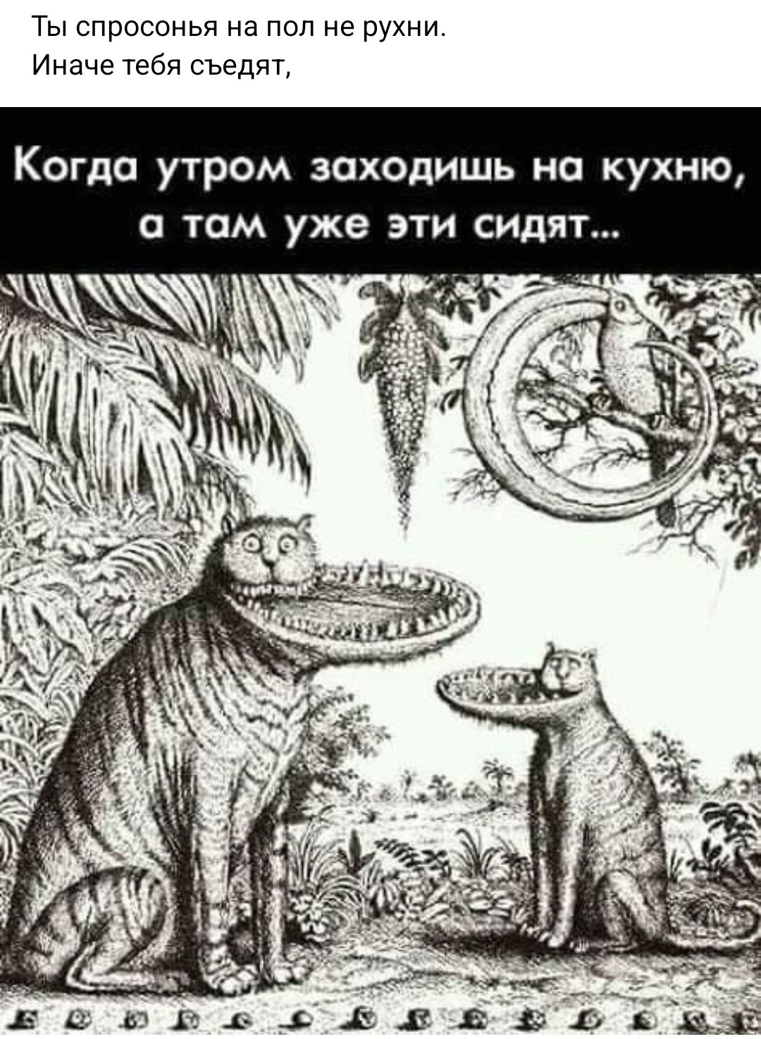 Ты спросонья на под не рухни Иначе тебя съедят Когда утром заходишь на кухню о там уже эти сидят