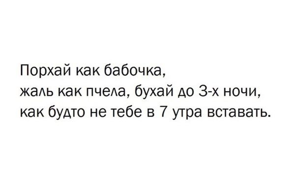 Порхай как бабочка жаАь как пчеАа бухай до 3х ночи как будто не тебе в 7 утра вставать