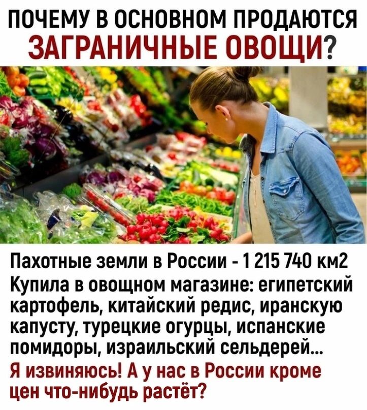 почему в основном ПРОДАЮТСЯ 3АГ_РАНИЧНЫЕ ОВОЩИ Пехотные земли в России 1 2157140 км2 Купила в овощном магазине египетский картофель китайский редис иранскую капусту турецкие огурцы испанские помидоры израильский сельдерей Я извиняюсь А у нас в России кроме цен что нибудь растёт