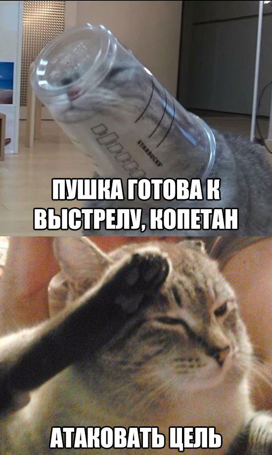 птдновпть цшЬ