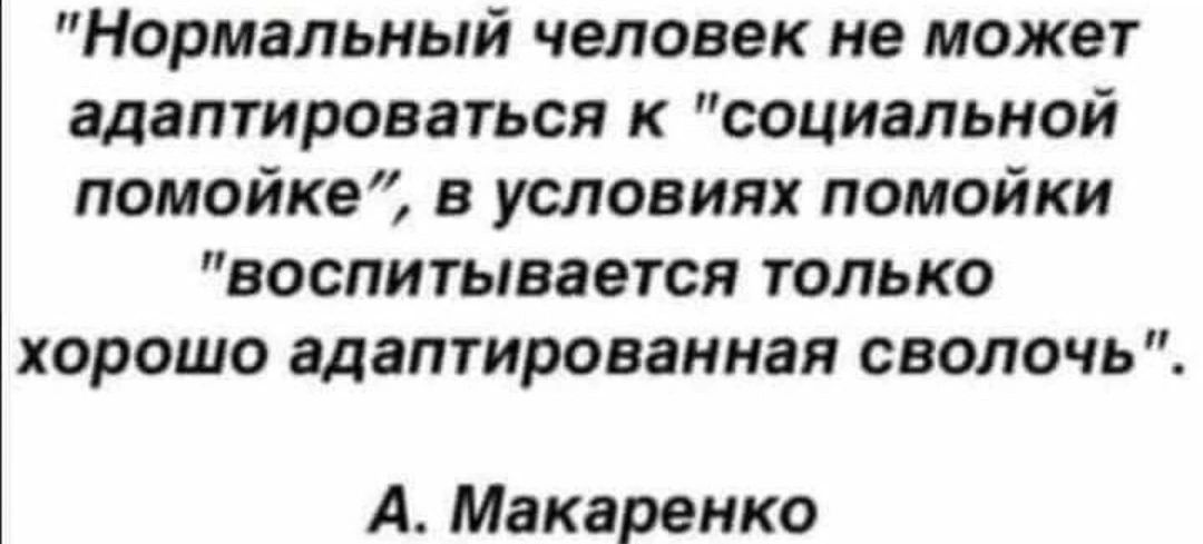 Нормальный человек не может адаптироваться к социальной помойке в условиях помойки воспитывается только хорошо адаптированная сволочь А Макаренко