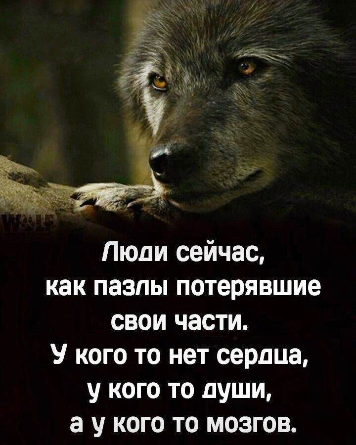 Люди сейчас как пазлы потерявшие свои части У кого то нет сердца у кого то души а у кого то мозгов