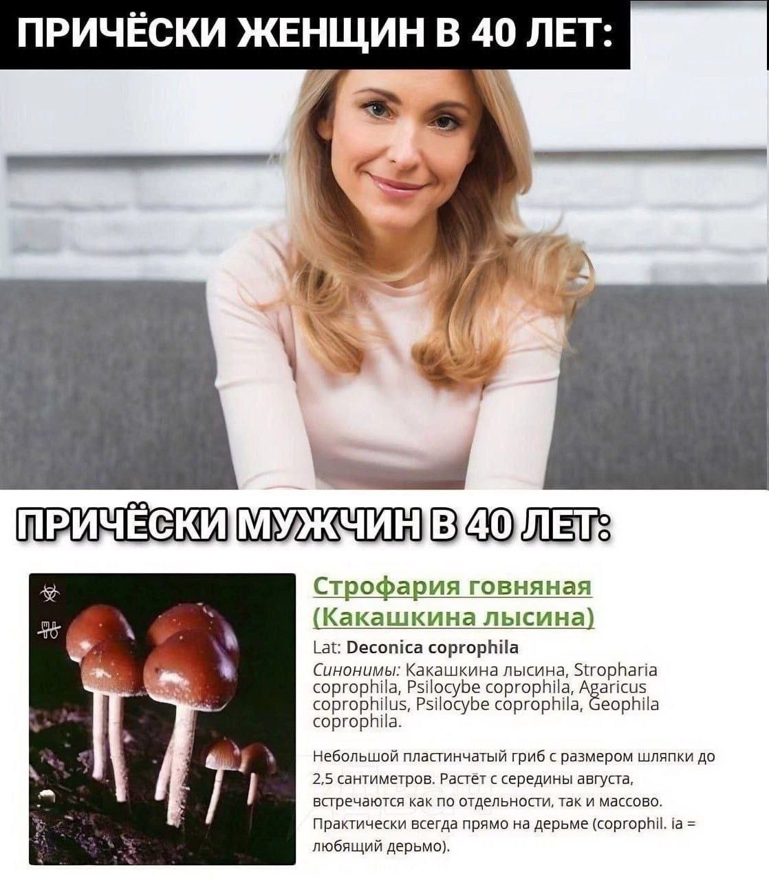 ПРИЧЁСКИ ЖЕНЩИН В 40 ЛЕТ Строфария гениями Какащкина лысииа А ым Не
