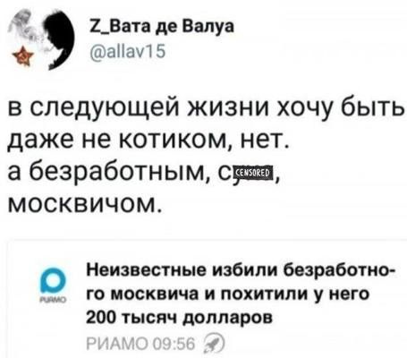 2_Ввп де Вадуц мыши 5 в следующей жизни хочу быть даже не котиком нет а безработным свищ москвичом о Неизвестные избили безряботио го москвича и похитили у него 200 тысяч долларов