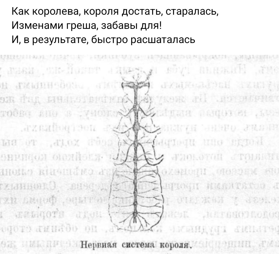 Как королева короля достать старалась Изменами греша забавы для И в результате быстро расшатапась тт ист пир