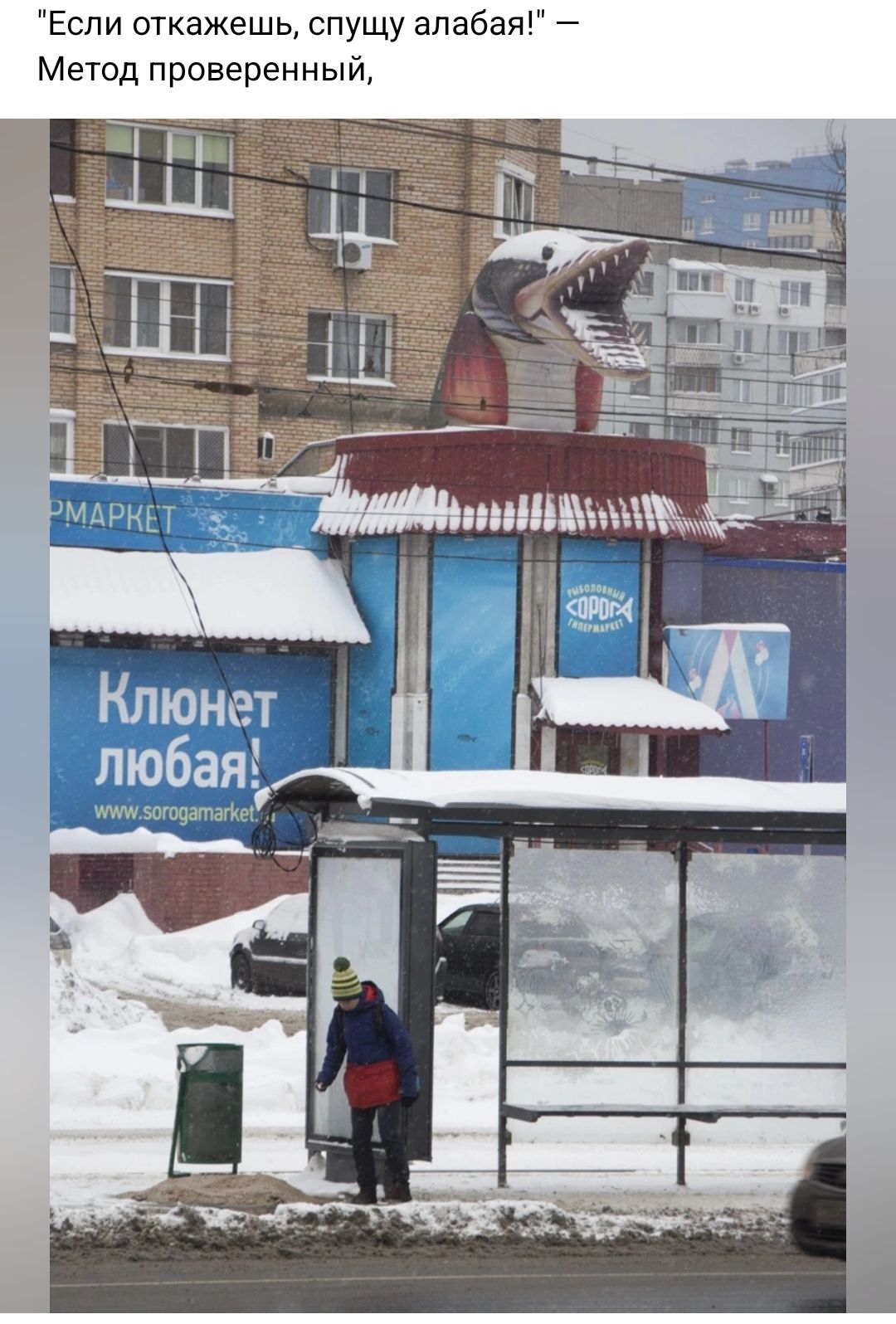 Если откажешц спущу алабая Метод проверенный