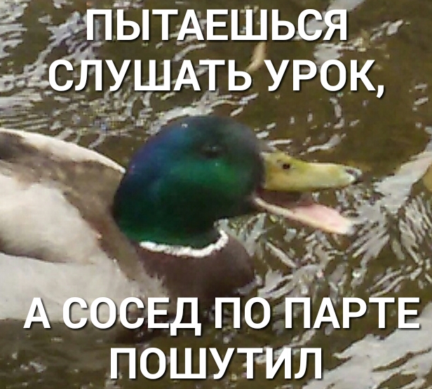 2 ЫТАЕШЬВЯ Ё_ ущАТЬУРЁк ПОШУТИЛ