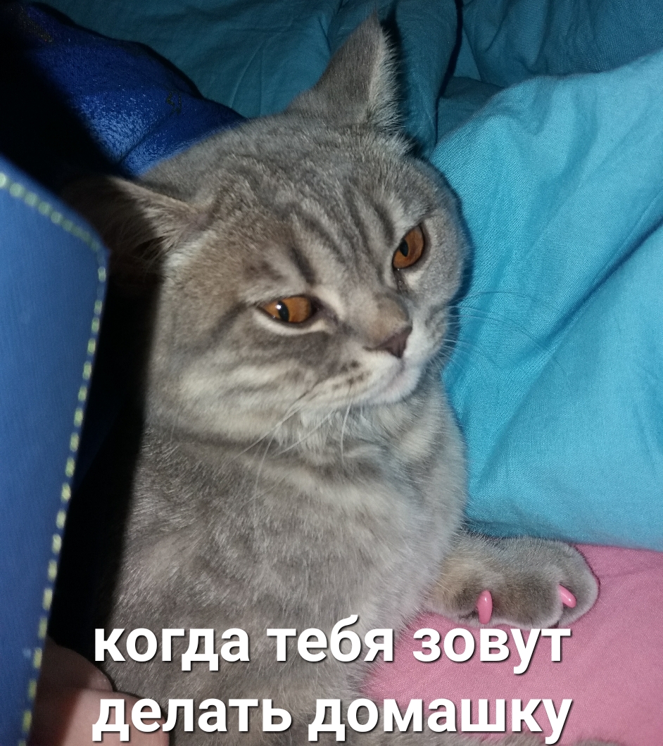 ё А во и 1 ЬуГ дЩ ЕіШці Г