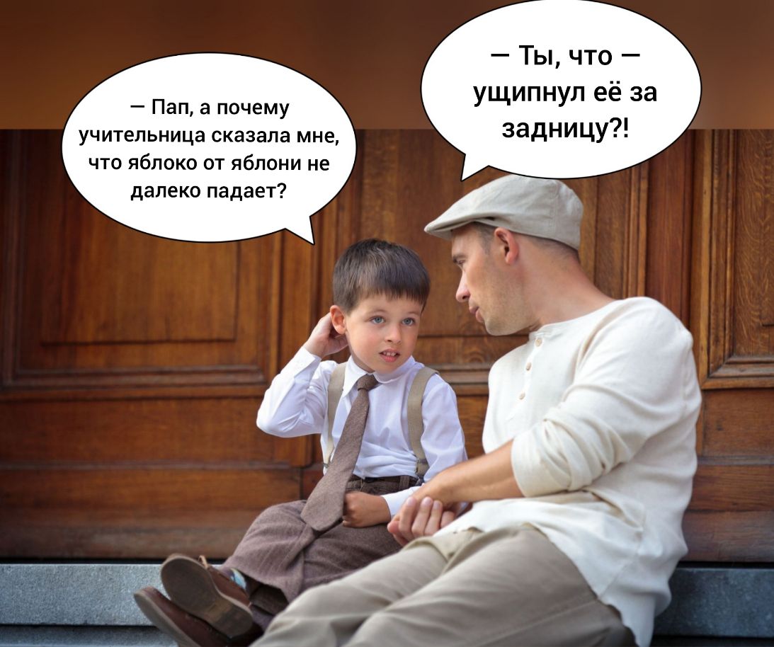 Ты что ущипнул её за задницу Пап а почему учительница сказала мне что яблоко от яблони не далеко падает