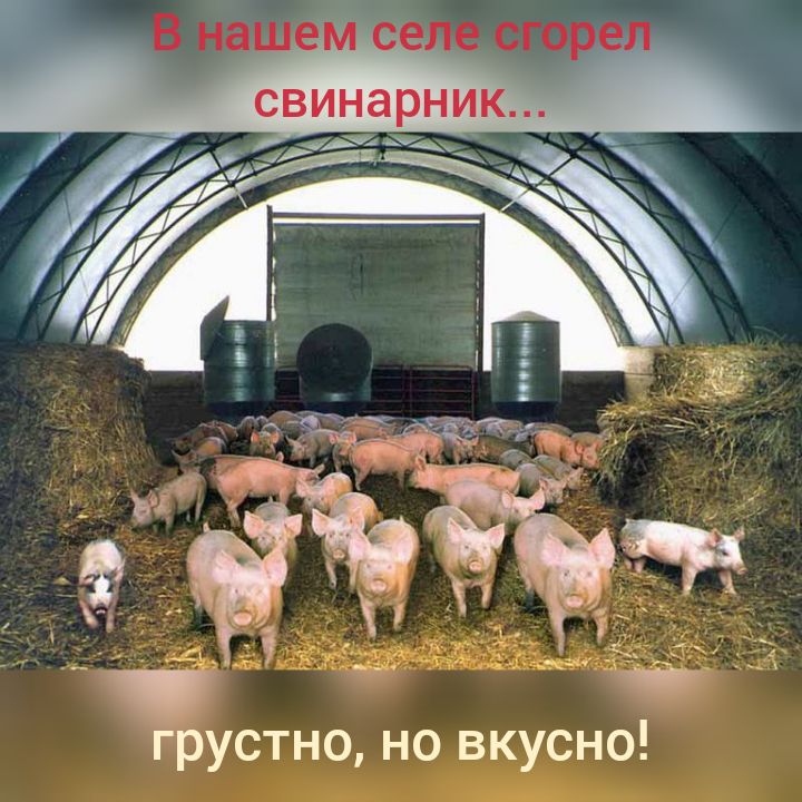 грустно но вкусно