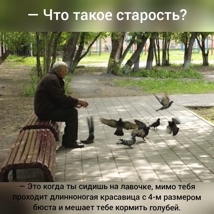 да ты сидишьЁГа девочке мимо тебйя инноногая красавица с 4 м размером мешает тебе кормить голубей