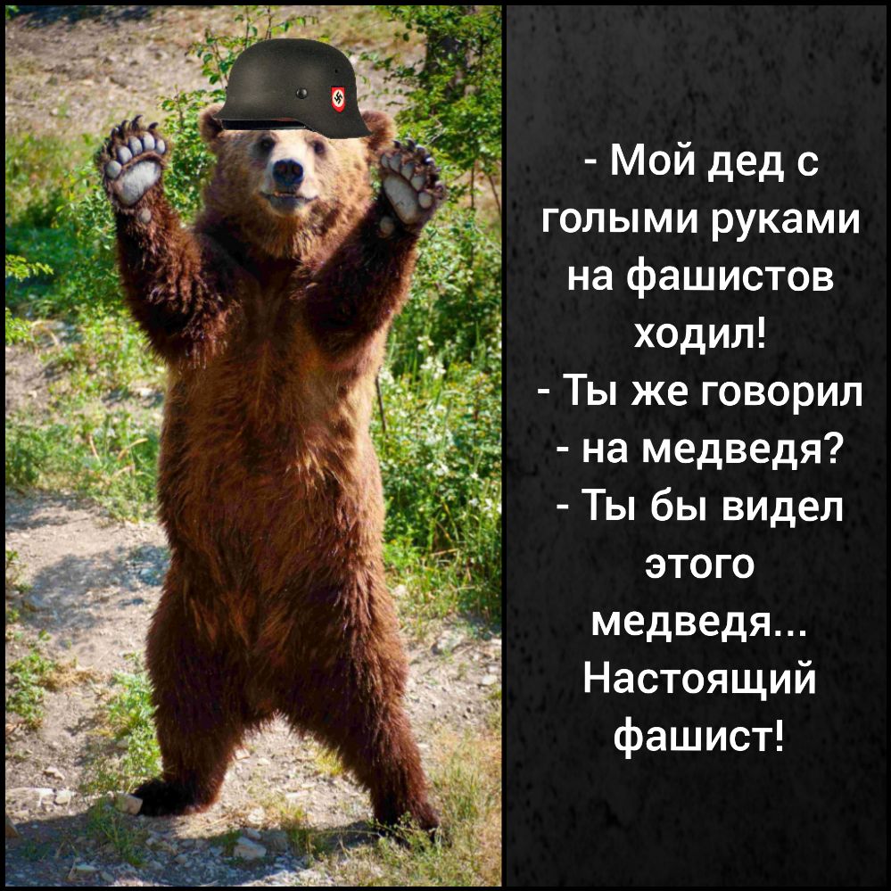 Мой дед с голыми руками на фашистов ходил Ты же говорил на медведя Ты бы ВИдеЛ этого медведя Настоящий фашист